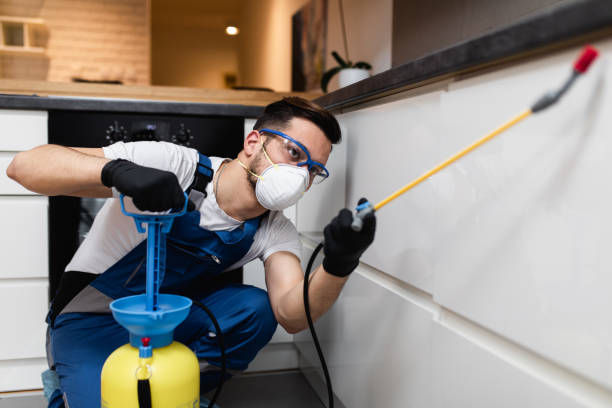 Best Affordable Pest Control Services  in Kenilworth, PA