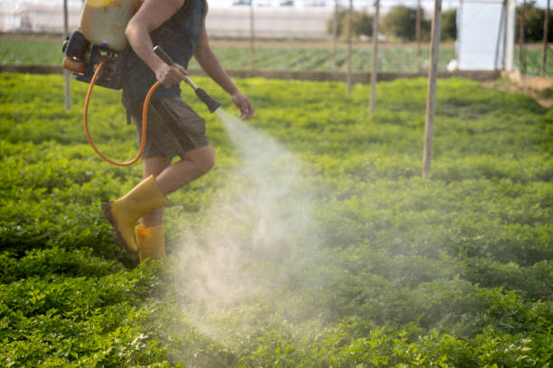 Best Ant Control Services  in Kenilworth, PA