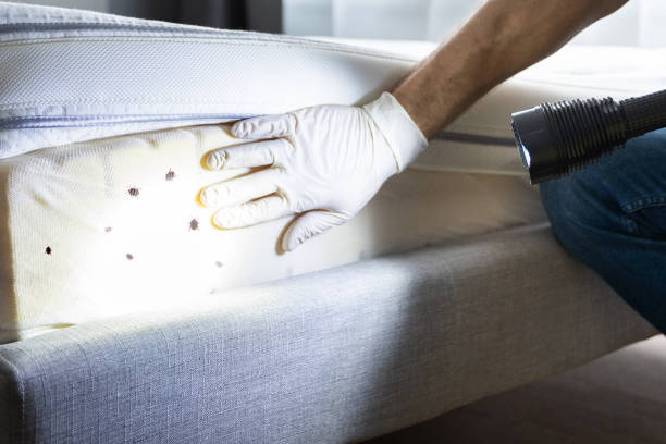 Best Mosquito Control Services  in Kenilworth, PA